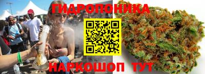 мдпв Тверь