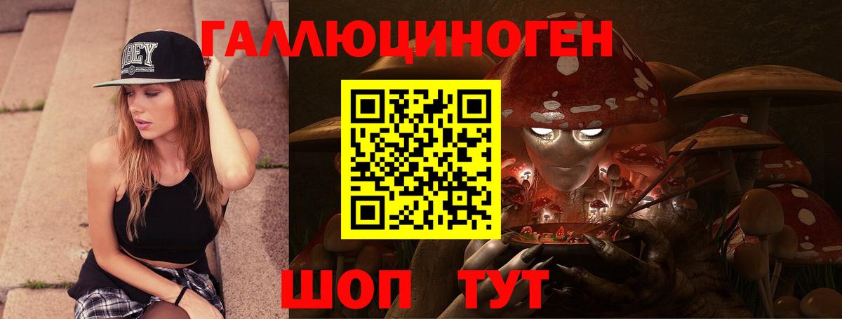 Азнакаево  Псилоцибиновые грибы MAGIC MUSHROOMS  Вход с VPN  Псилоцибиновые грибы Psilocybe 